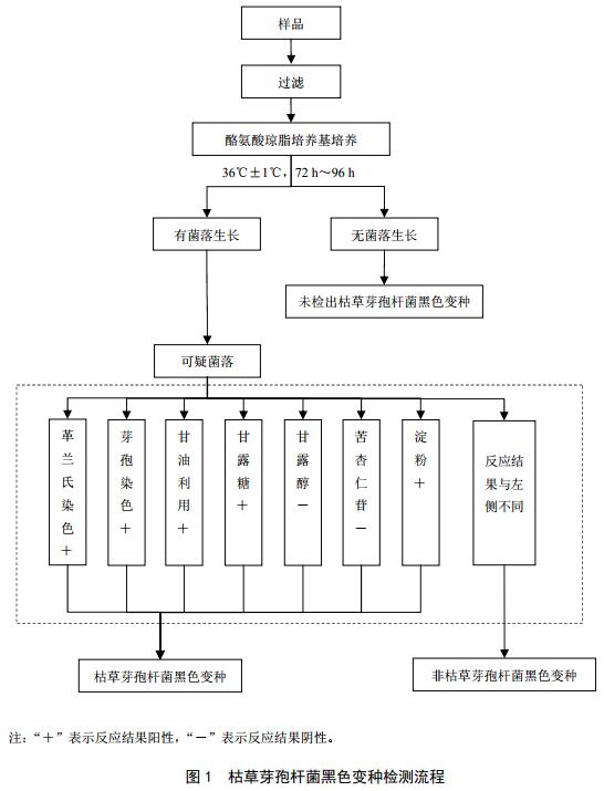 表1.jpg