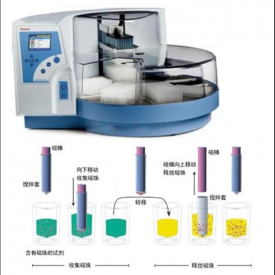 磁棒法核酸提取仪