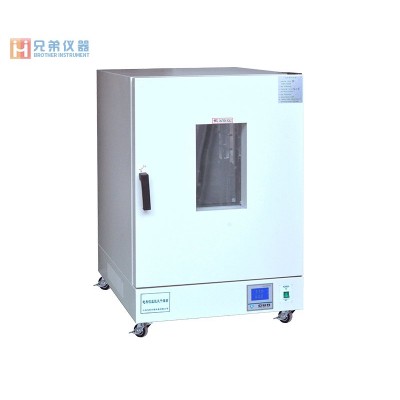 LDO-9626A电热恒温鼓风干燥箱（立式）