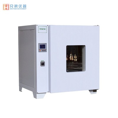 LDO-600电热恒温干燥箱