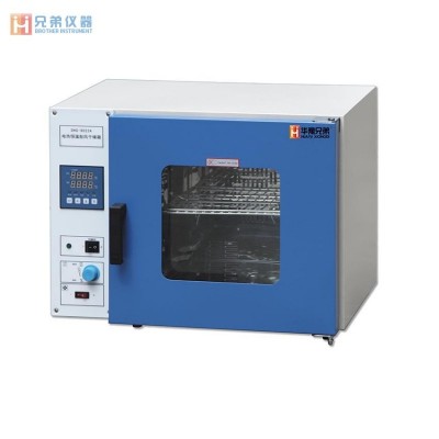 DHG-9203A电热恒温鼓风干燥箱（台式）