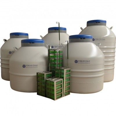 YDS-65-216-F大口径实验室专用系列液氮罐