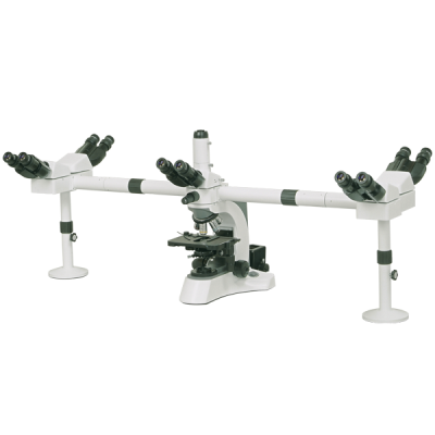 永新光学XSZ-N510系列多人观察显微镜