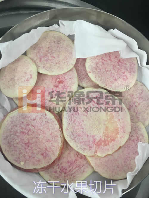 LGJ-18多歧管压盖真空冷冻干燥机